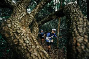 BIB: 
                            <button type="button" onclick="openModal(25393497)" class="btn btn-primary btn-sm float-right btn-popup" data-toggle="modal" data-target=".modal-high-quality">
                        <i class="fas fa-shopping-cart"></i> Add to Cart
                    </button>
                                            <button type="button" onclick="isThisMe(25393497, true)" class="btn btn-success btn-sm float-right btn-popup btn-isme hidden" data-toggle="tooltip" data-placement="bottom" title="นี่คือรูปของคุณใช่ไหม คลิกที่นี่เพื่อเอาเข้าอัลบั้ม">
                        <i class="fas fa-plus"></i> Add to album
                    </button>
                    <button type="button" onclick="isThisMe(25393497, false)" class="btn btn-warning btn-sm float-right btn-popup btn-isnotme hidden">
                        <i class="fas fa-ban"></i> Remove from album
                    </button>